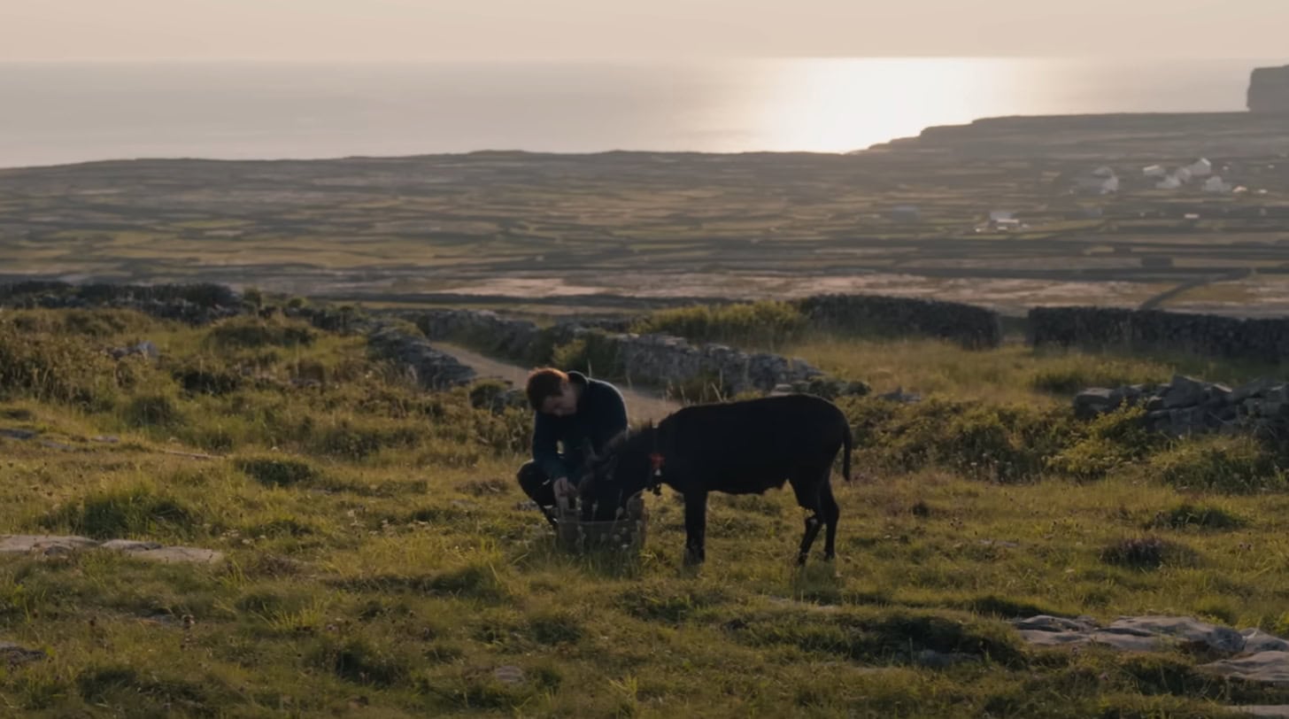 The Banshees of Inisherin
